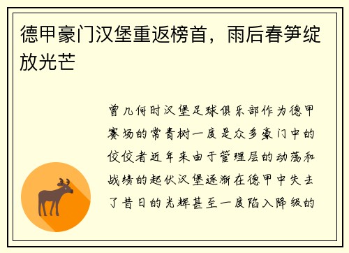 德甲豪门汉堡重返榜首，雨后春笋绽放光芒
