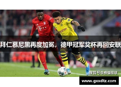 拜仁慕尼黑再度加冕，德甲冠军奖杯再回安联