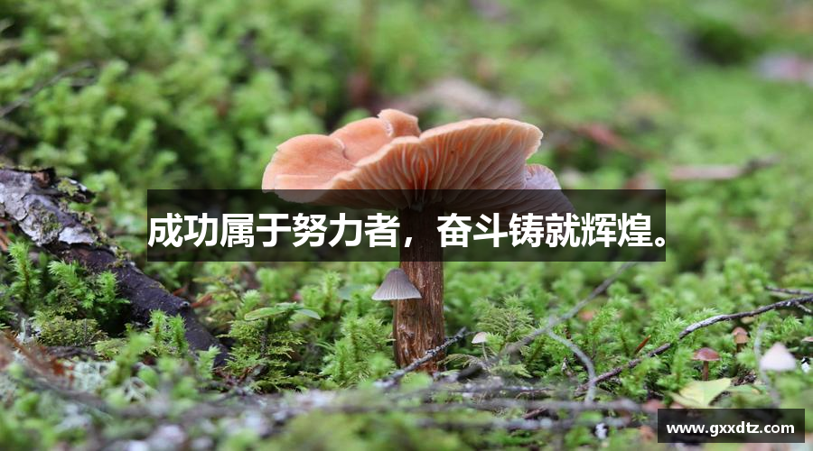 成功属于努力者，奋斗铸就辉煌。